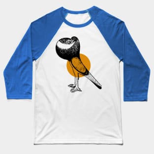 humming dove Baseball T-Shirt